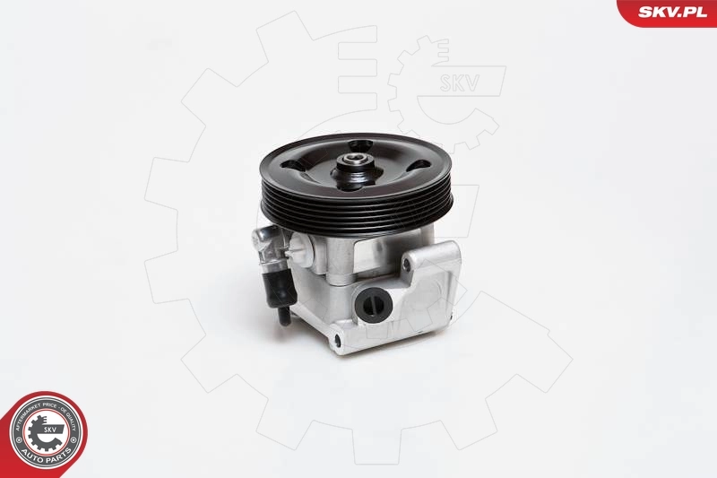 Hydraulic Pump, steering 10SKV091
