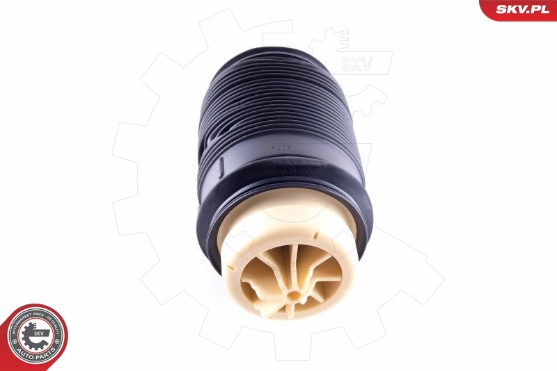 Air Spring, suspension 58SKV011