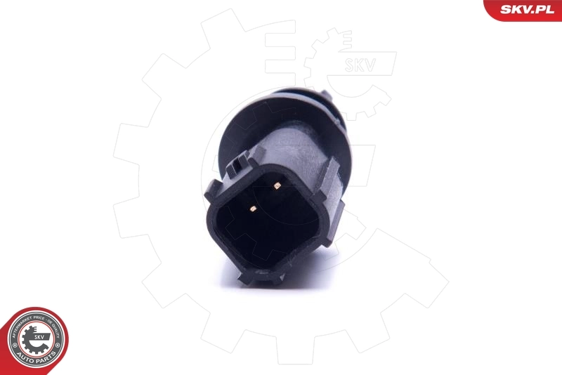 Sensor, intake air temperature 17SKV681