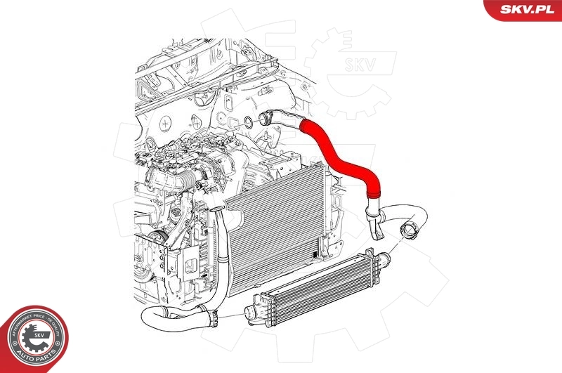 Charge Air Hose 43SKV257