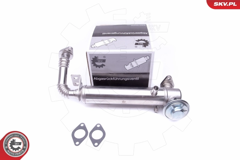 Cooler, exhaust gas recirculation 14SKV229