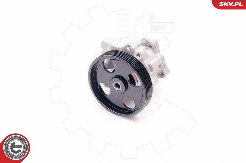 Hydraulic Pump, steering 10SKV197