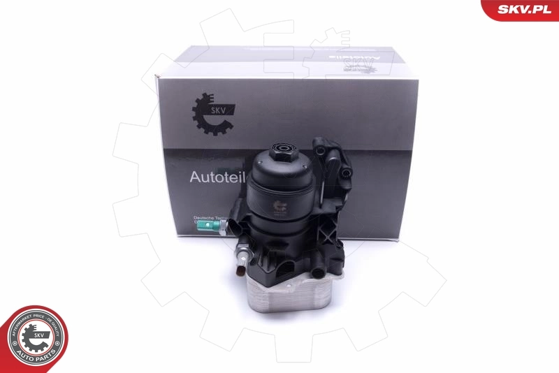 Oil Cooler, engine oil 31SKV169