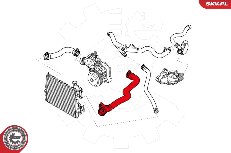 Radiator Hose 43SKV723
