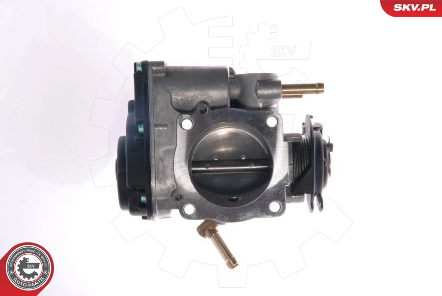 Throttle Body 12SKV025
