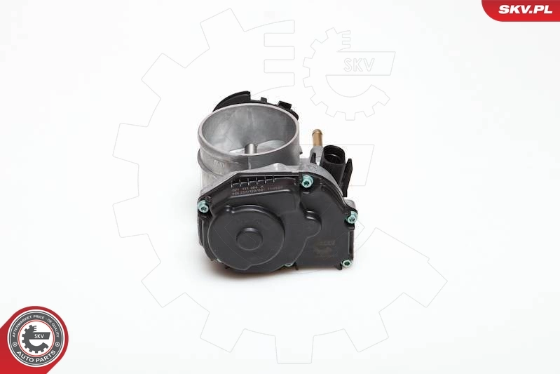 ESEN SKV 12SKV002 Throttle Body