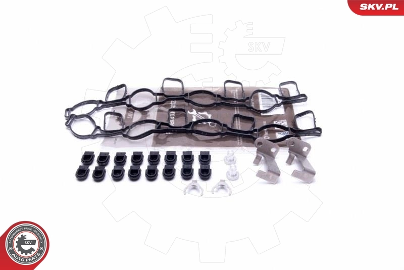 Repair Kit, intake manifold module 49SKV517