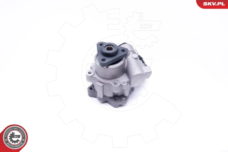 Hydraulic Pump, steering 10SKV242