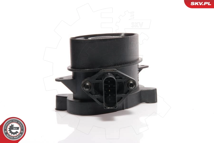 Mass Air Flow Sensor 07SKV099
