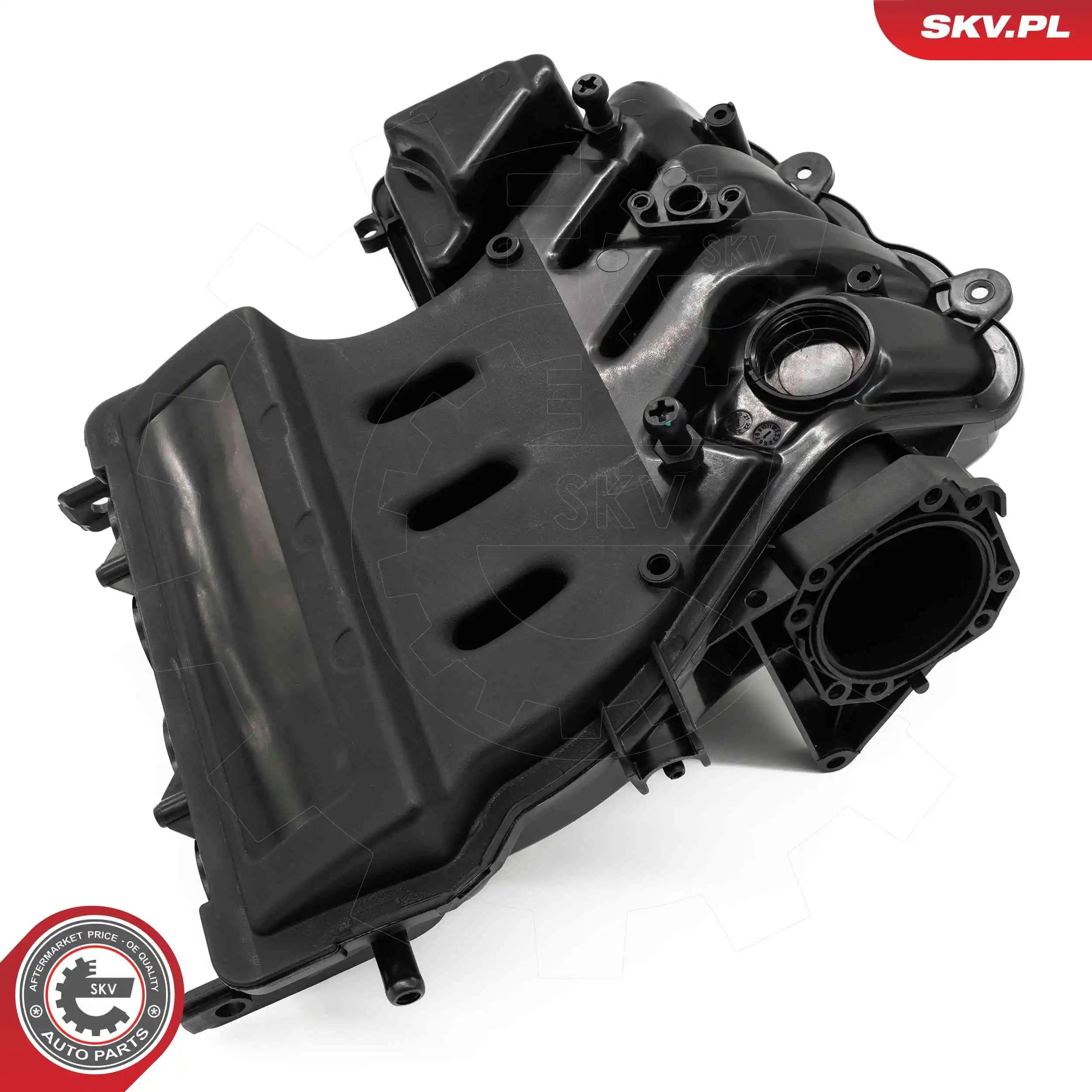 Intake Manifold Module 49SKV088