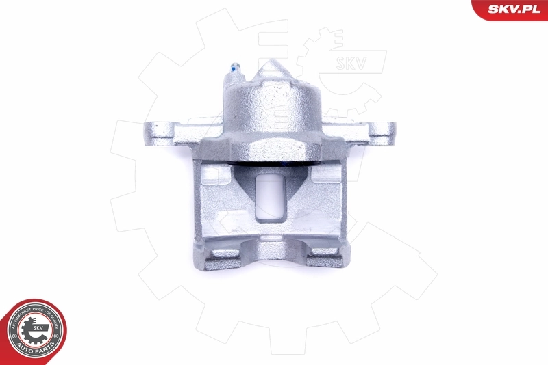 Brake Caliper 46SKV121
