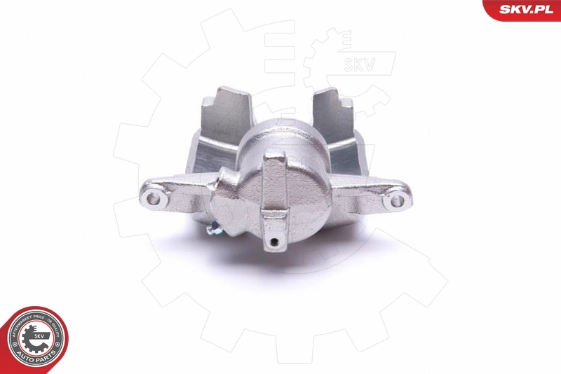 Brake Caliper 50SKV084