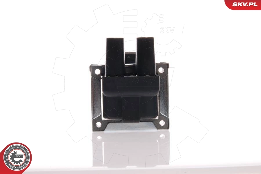 Ignition Coil 03SKV045