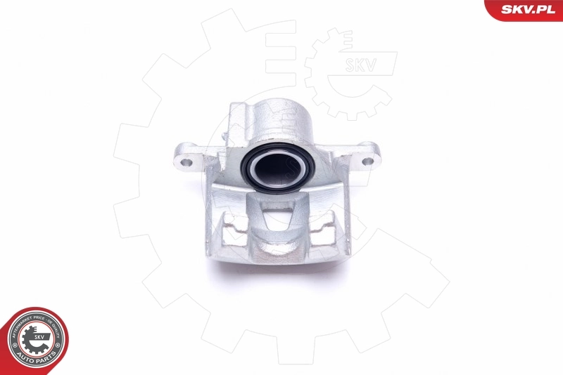 Brake Caliper 42SKV794
