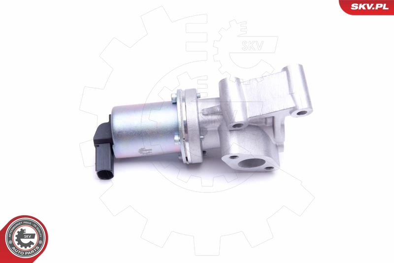 EGR Valve 14SKV211