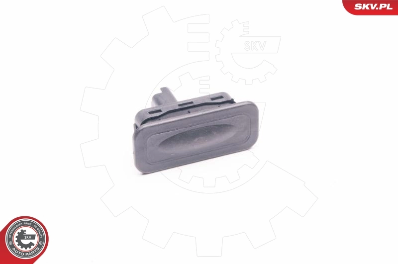 Switch, door lock system 16SKV338