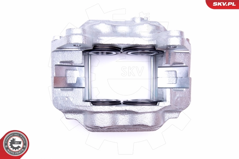 Brake Caliper 42SKV831