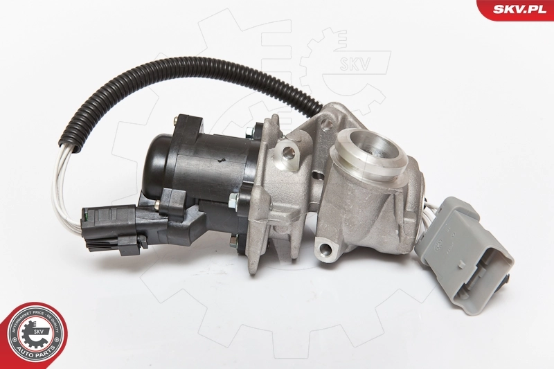 EGR Valve 14SKV071