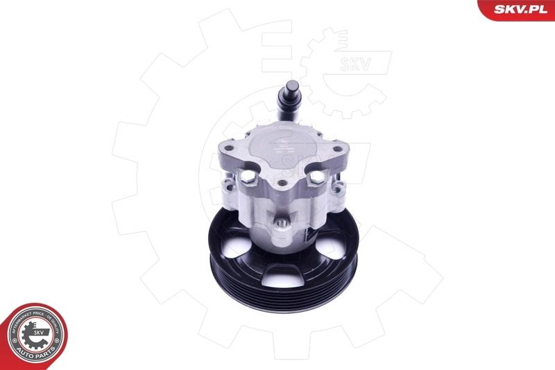 Hydraulic Pump, steering 10SKV241