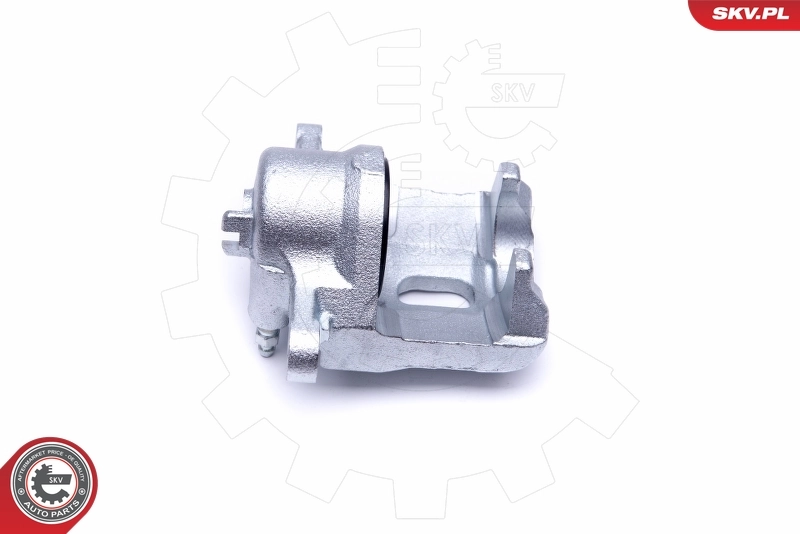 Brake Caliper 46SKV151