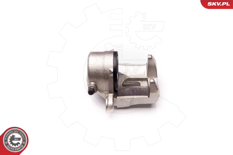 Brake Caliper 34SKV272