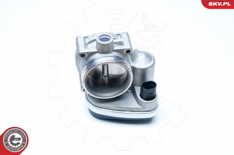 Throttle Body 12SKV050