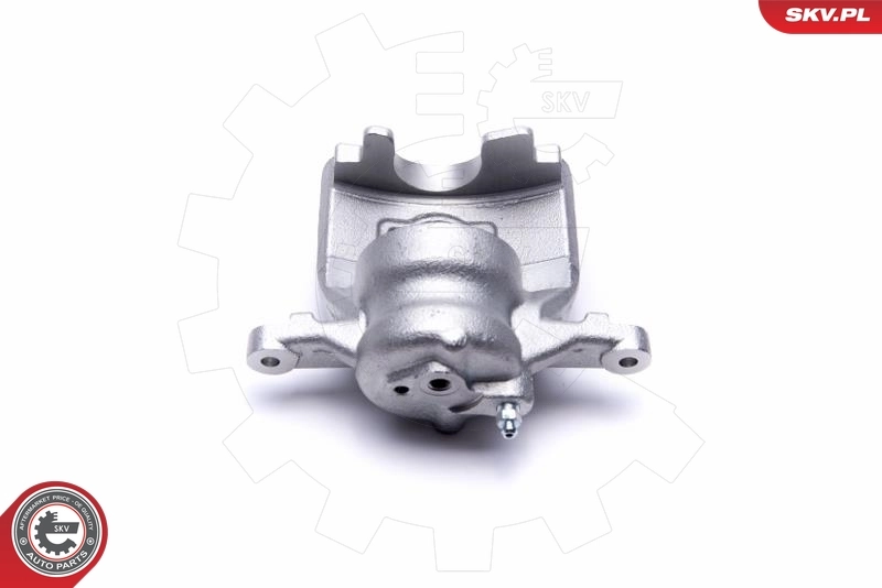 Brake Caliper 55SKV961