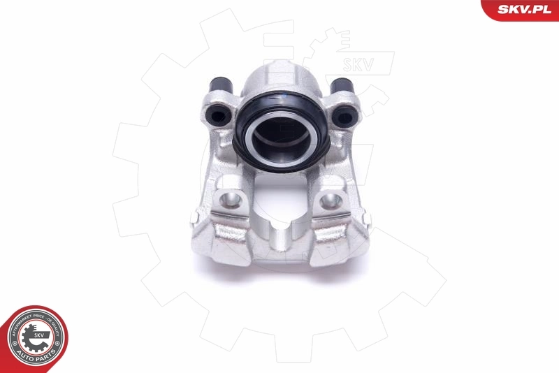 Brake Caliper 55SKV991