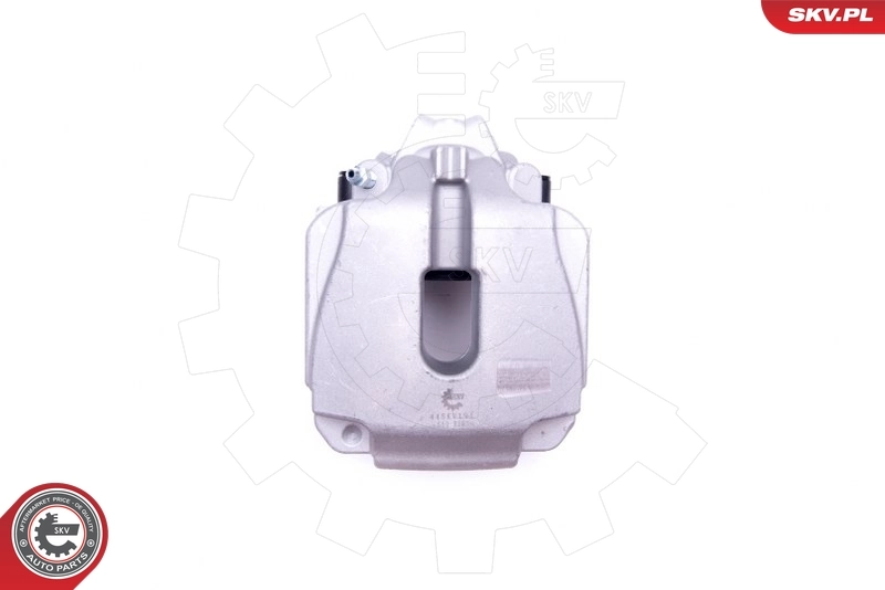 Brake Caliper 44SKV191