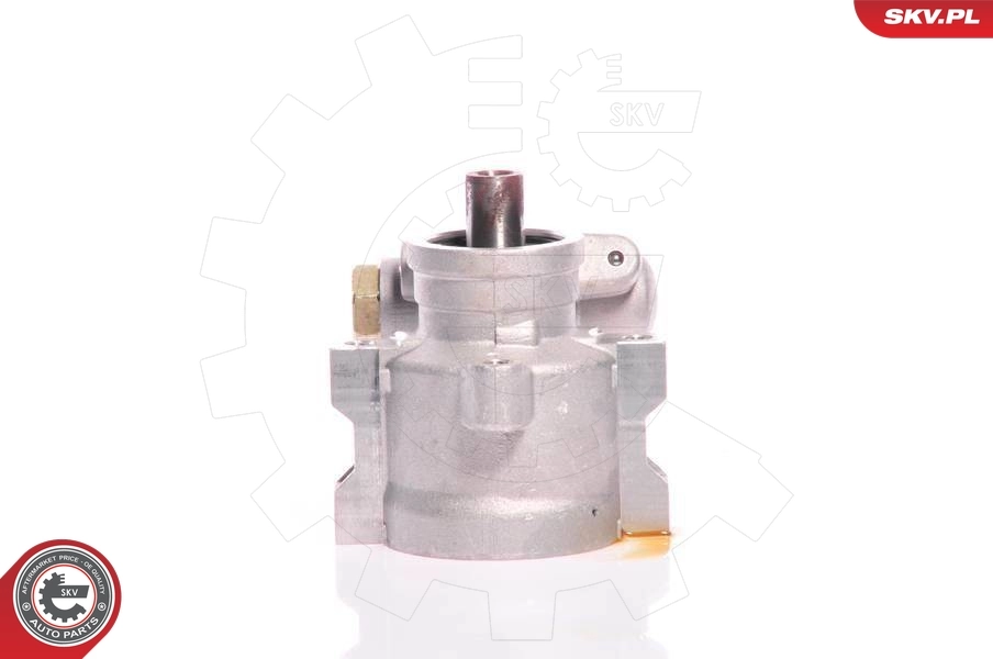 Hydraulic Pump, steering 10SKV126