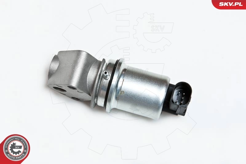 EGR Valve 14SKV007