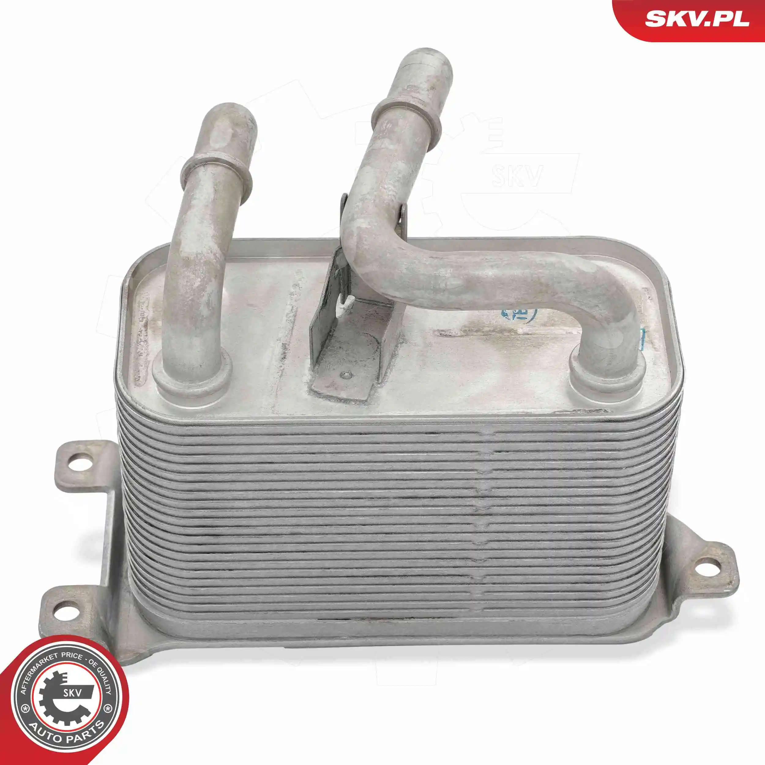 Oil Cooler, engine oil 31SKV328