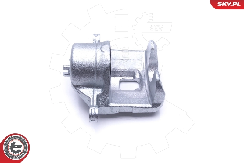 Brake Caliper 46SKV211
