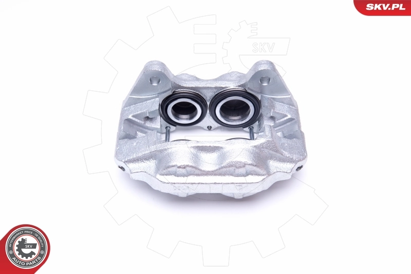 Brake Caliper 42SKV831