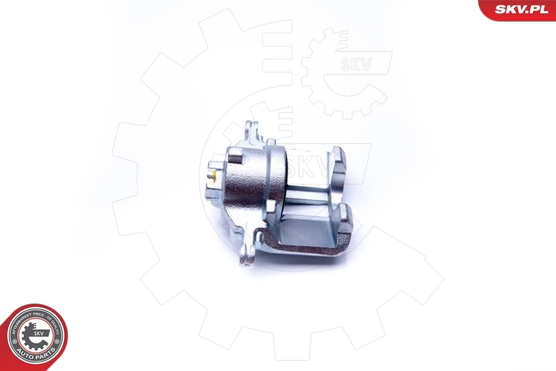 Brake Caliper 42SKV182