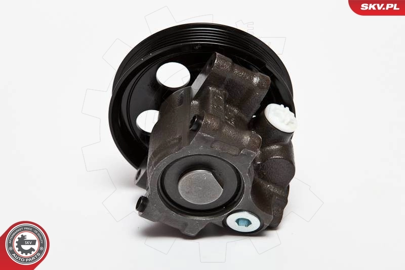 Hydraulic Pump, steering 10SKV067