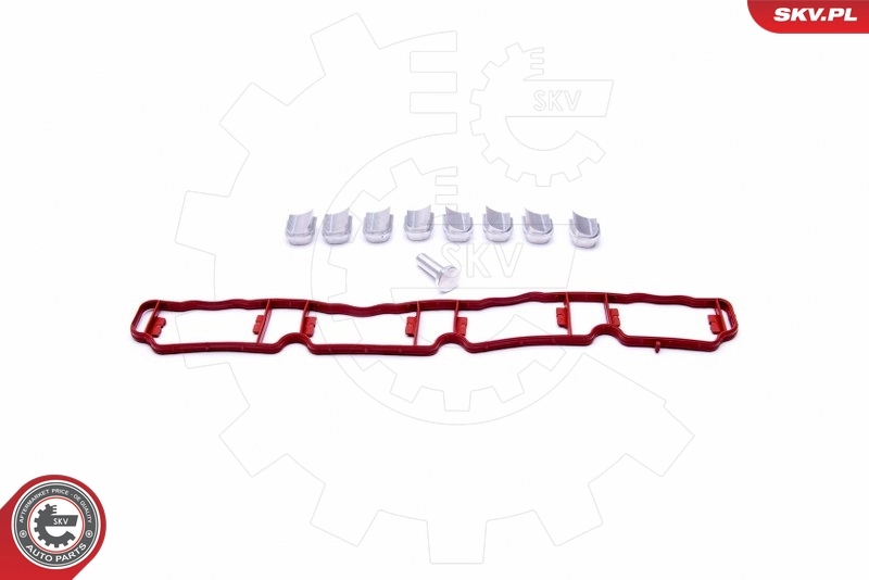 Repair Kit, intake manifold module 49SKV510