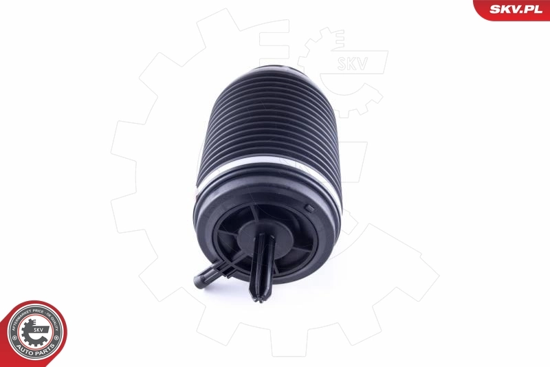 Air Spring, suspension 58SKV030