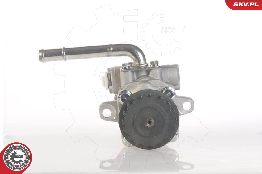 Hydraulic Pump, steering 10SKV131