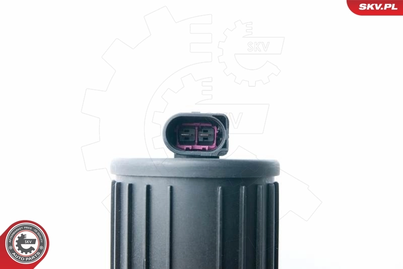 ESEN SKV 96SKV200 Secondary Air Pump