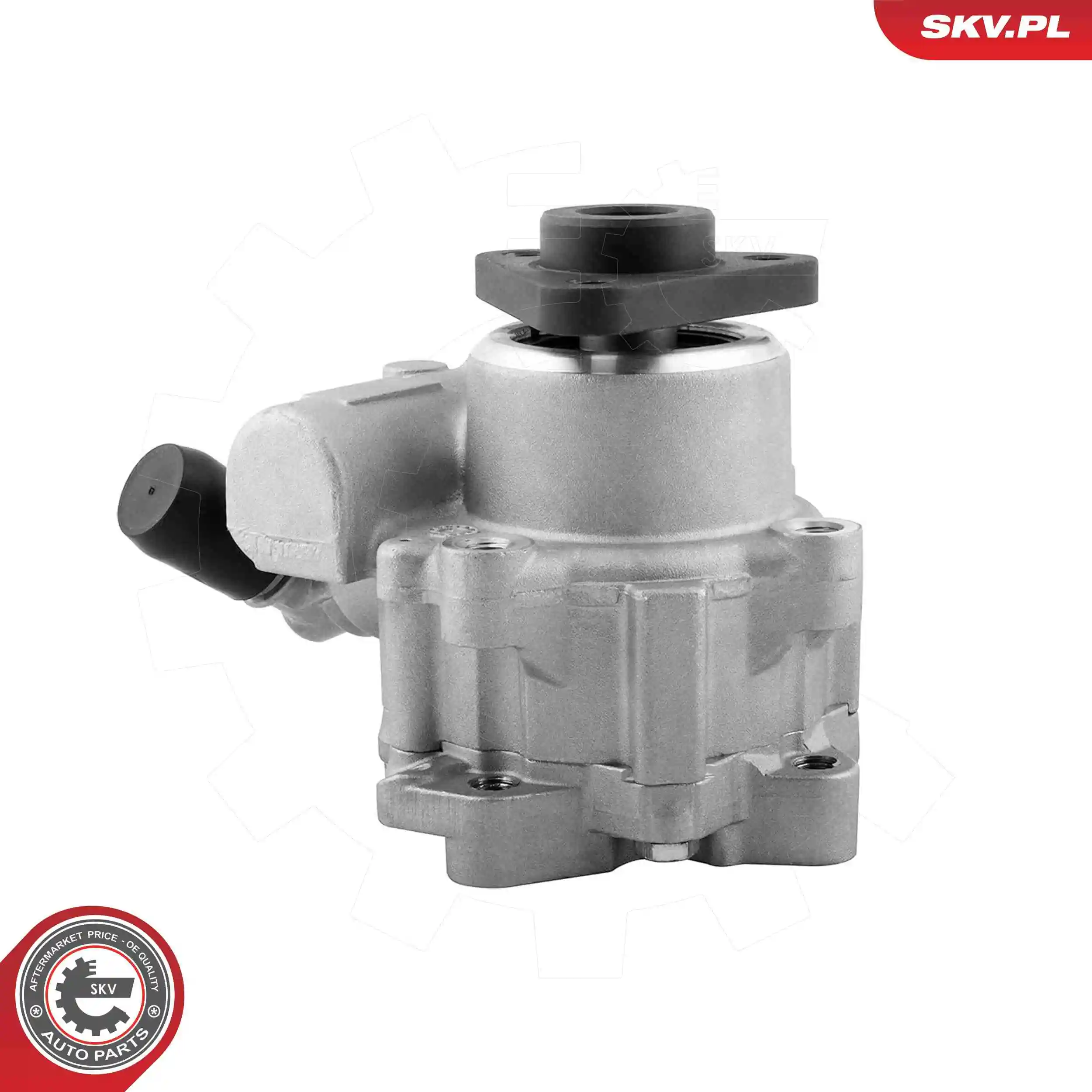 Hydraulic Pump, steering 10SKV329