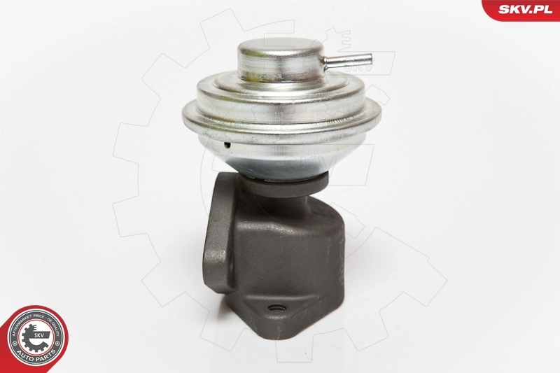EGR Valve 14SKV052