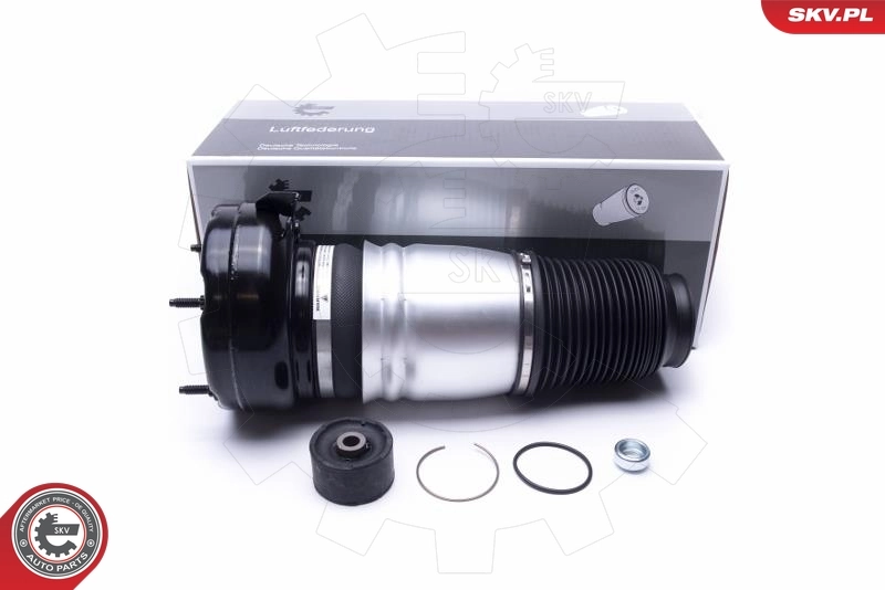 Air Suspension Strut 58SKV070