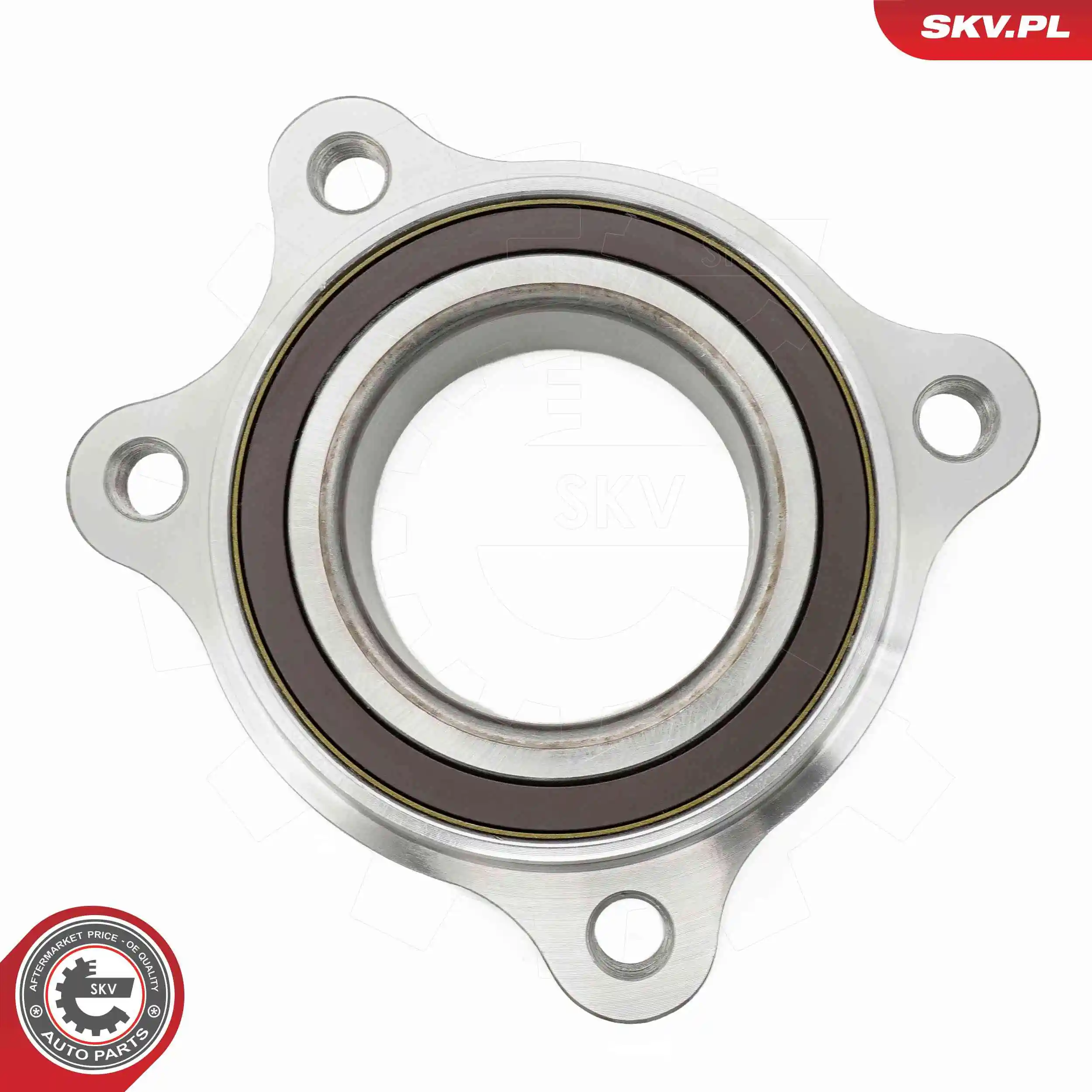 ESEN SKV 29SKV698 Wheel Bearing Kit