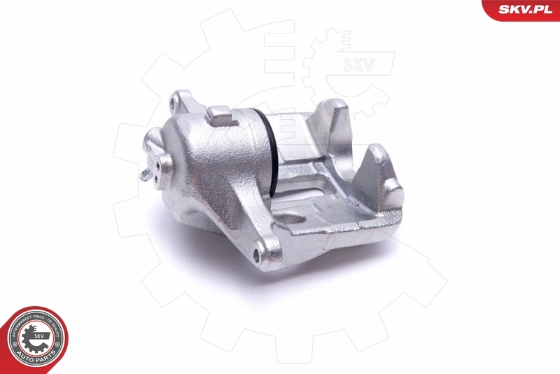 Brake Caliper 55SKV642