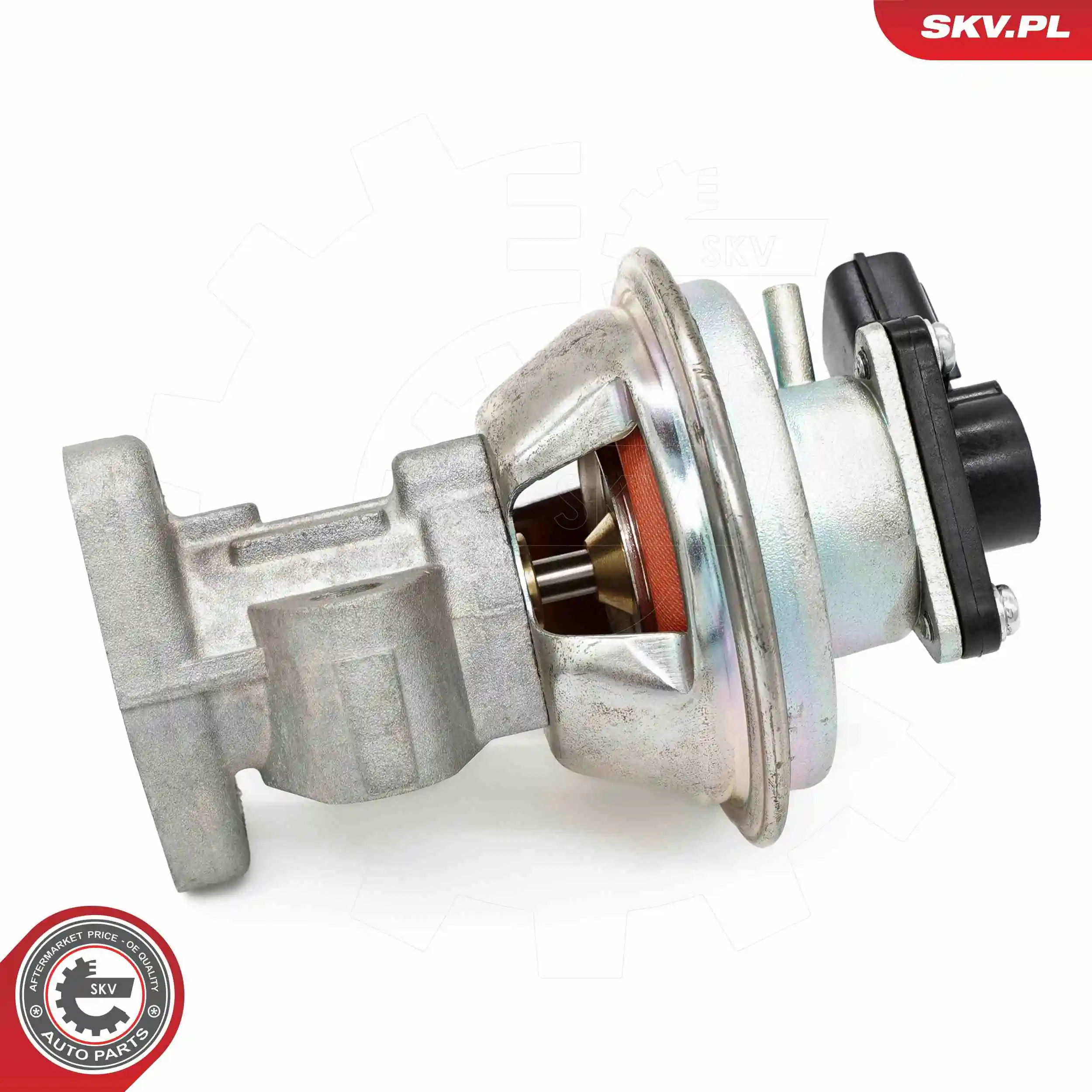 EGR Valve 14SKV262
