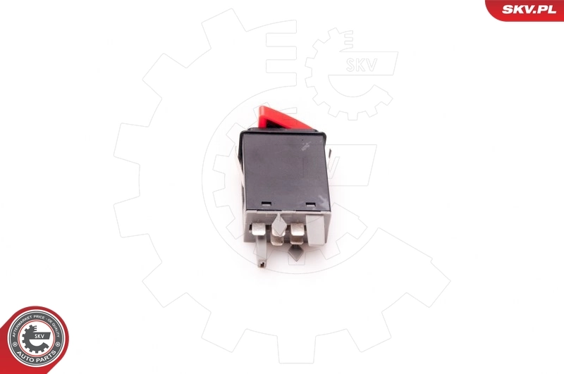 Hazard Warning Light Switch 36SKV702
