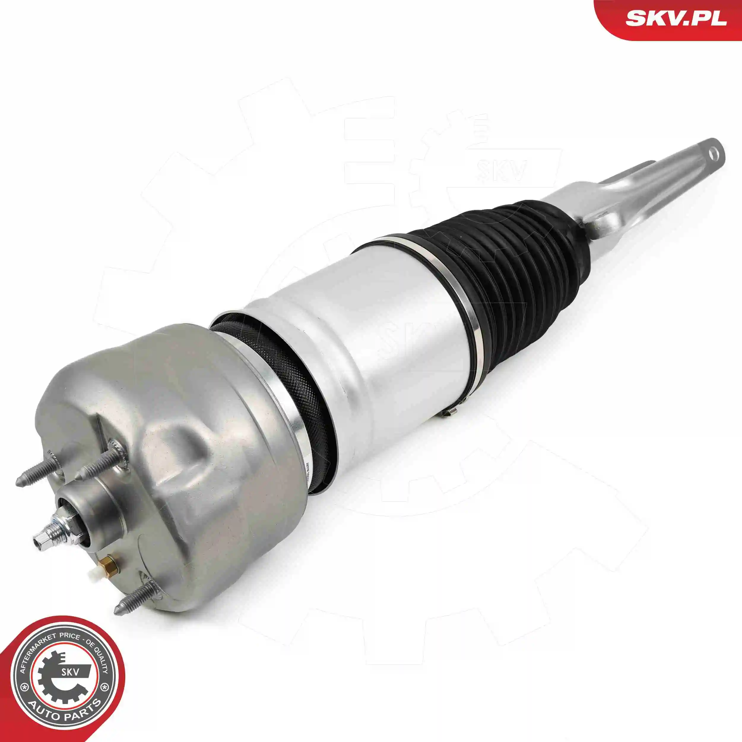 Air Suspension Strut 58SKV707