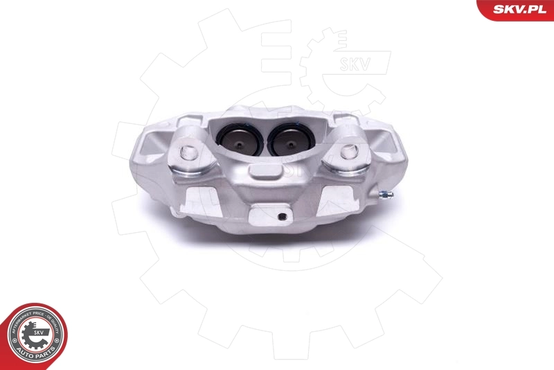 Brake Caliper 42SKV411