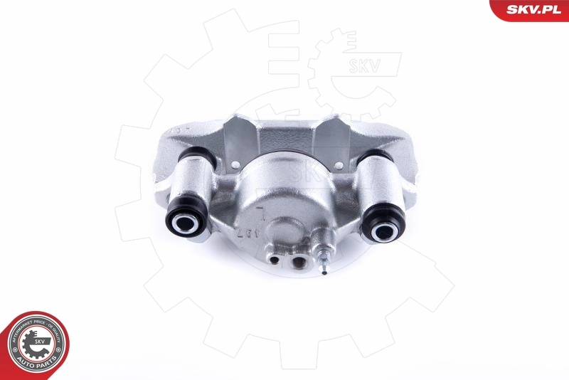 Brake Caliper 55SKV301